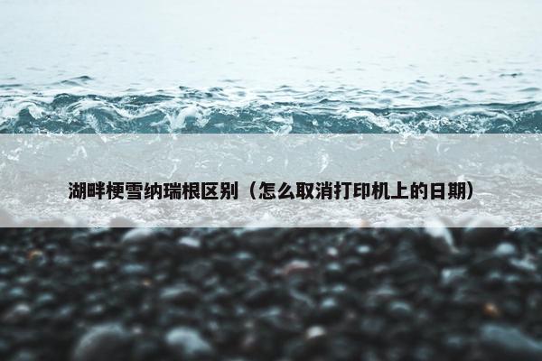 湖畔梗雪纳瑞根区别（怎么取消打印机上的日期）