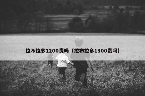 拉不拉多1200贵吗(拉布拉多1300贵吗)