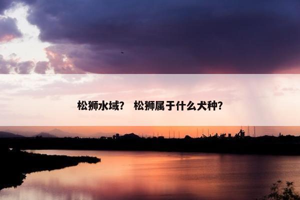 松狮水域？ 松狮属于什么犬种？