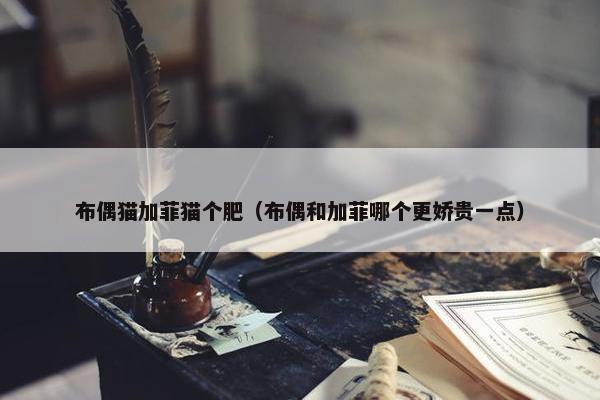 布偶猫加菲猫个肥（布偶和加菲哪个更娇贵一点）