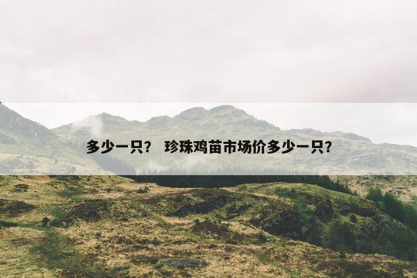 多少一只? 珍珠鸡苗市场价多少一只?