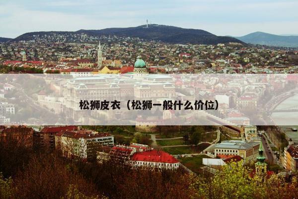 松狮皮衣（松狮一般什么价位）