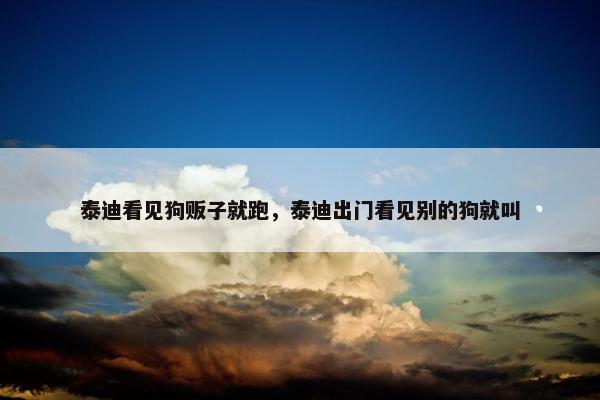 泰迪看见狗贩子就跑，泰迪出门看见别的狗就叫