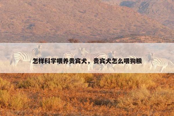 选择 第7页