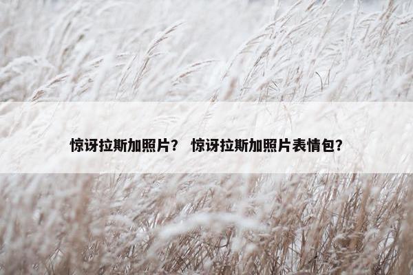 惊讶拉斯加照片？ 惊讶拉斯加照片表情包？