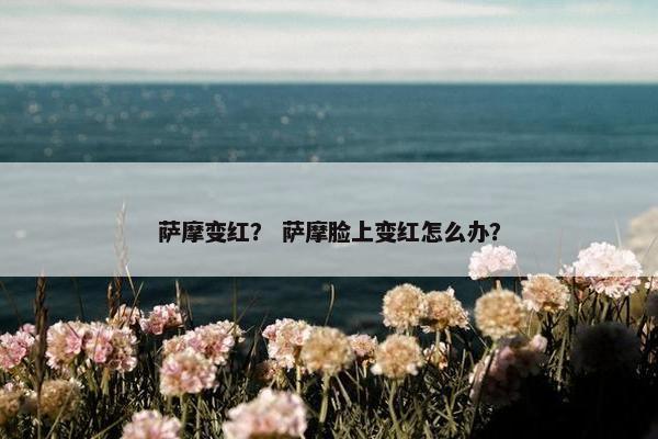 萨摩变红？ 萨摩脸上变红怎么办？