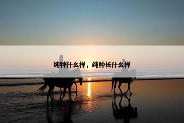 纯种什么样，纯种长什么样