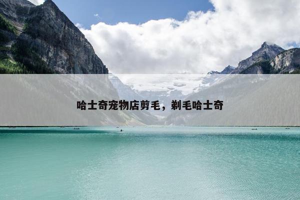 哈士奇宠物店剪毛，剃毛哈士奇