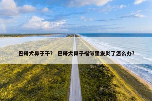 巴哥犬鼻子干？ 巴哥犬鼻子褶皱里发炎了怎么办？