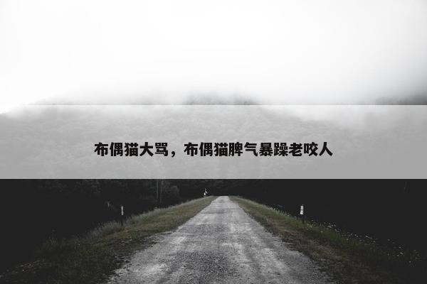 布偶猫 第45页