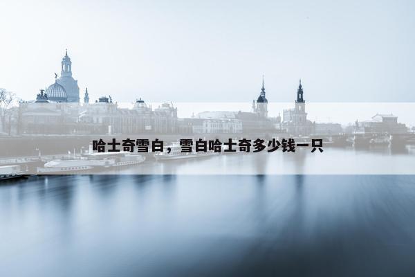 哈士奇雪白，雪白哈士奇多少钱一只