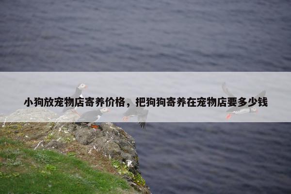 小狗放宠物店寄养价格，把狗狗寄养在宠物店要多少钱