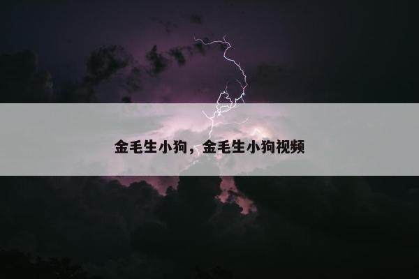 金毛生小狗，金毛生小狗视频