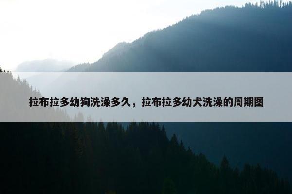 拉布拉多幼狗洗澡多久，拉布拉多幼犬洗澡的周期图