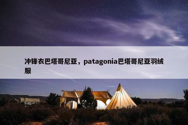 冲锋衣巴塔哥尼亚，patagonia巴塔哥尼亚羽绒服