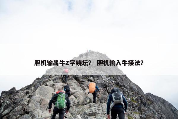 胆机输出牛Z字绕坛? 胆机输入牛接法?