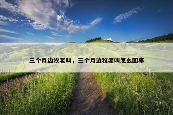 三个月边牧老叫,三个月边牧老叫怎么回事