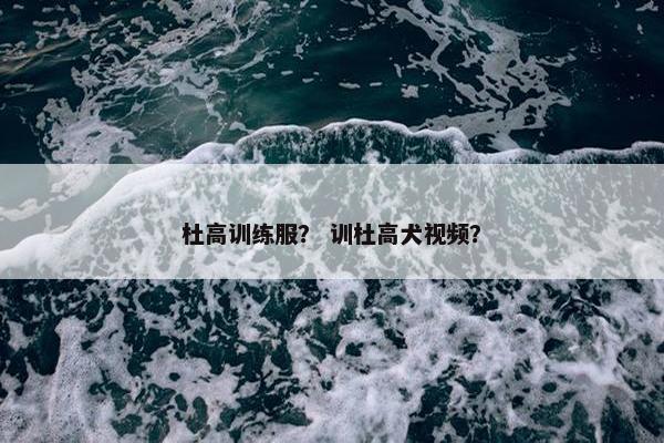 杜高训练服？ 训杜高犬视频？