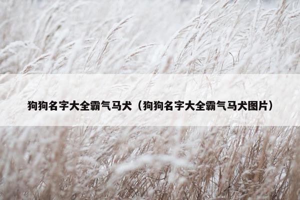 狗狗名字大全霸气马犬（狗狗名字大全霸气马犬图片）