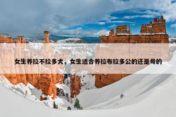 女生养拉不拉多犬，女生适合养拉布拉多公的还是母的