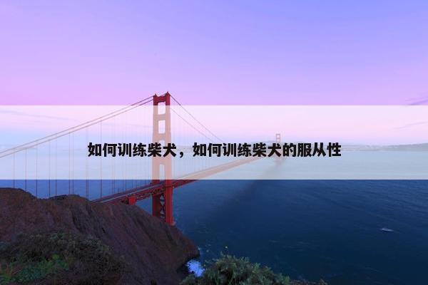 如何训练柴犬,如何训练柴犬的服从性