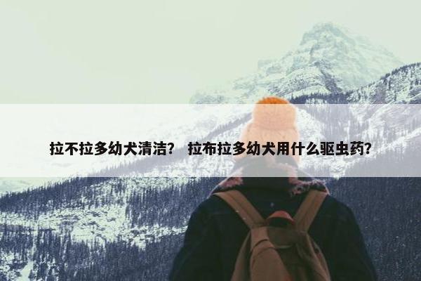 拉不拉多幼犬清洁？ 拉布拉多幼犬用什么驱虫药？