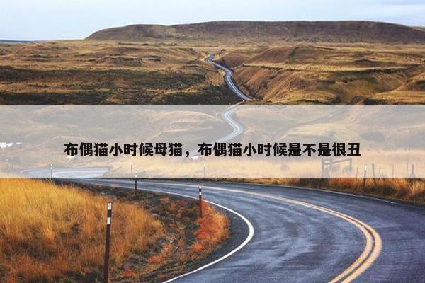 布偶猫小时候母猫，布偶猫小时候是不是很丑