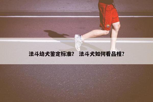 法斗幼犬鉴定标准? 法斗犬如何看品相?