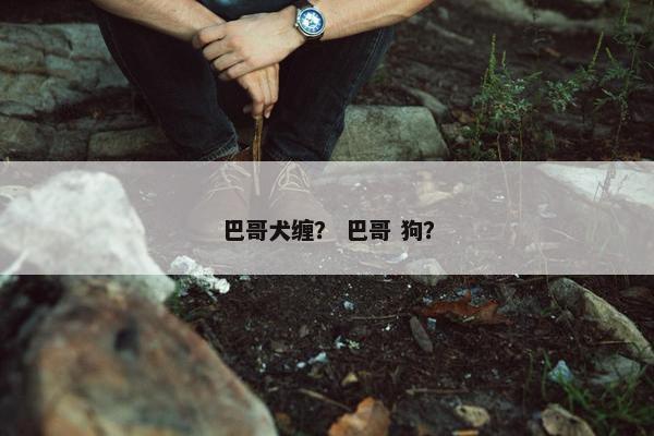 巴哥犬缠？ 巴哥 狗？