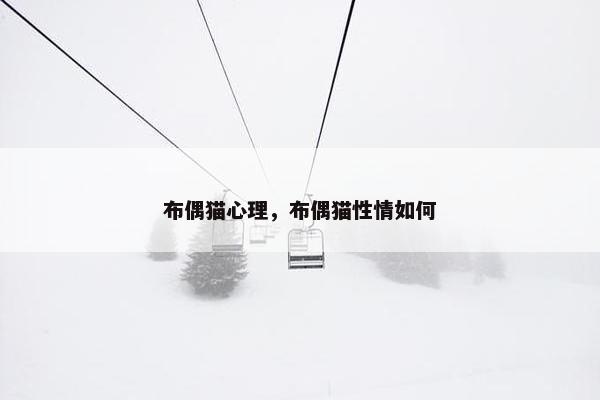 布偶猫心理，布偶猫性情如何