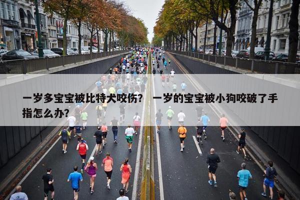 一岁多宝宝被比特犬咬伤？ 一岁的宝宝被小狗咬破了手指怎么办？
