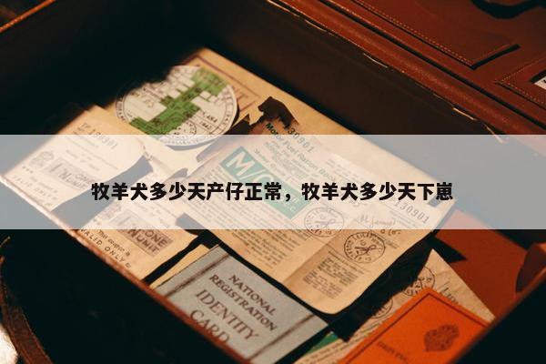 牧羊犬多少天产仔正常，牧羊犬多少天下崽
