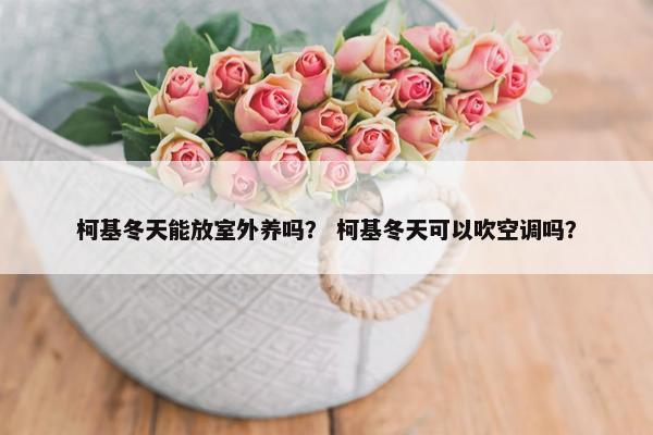 柯基冬天能放室外养吗？ 柯基冬天可以吹空调吗？