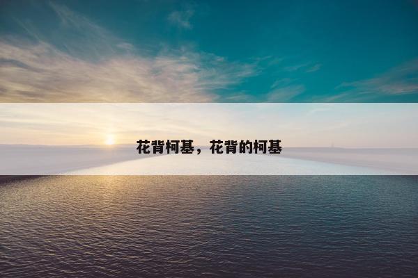 花背柯基，花背的柯基