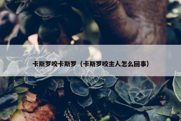 卡斯罗咬卡斯罗（卡斯罗咬主人怎么回事）