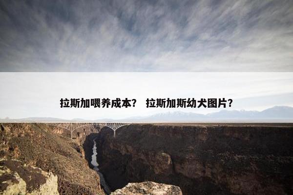 拉斯加喂养成本？ 拉斯加斯幼犬图片？