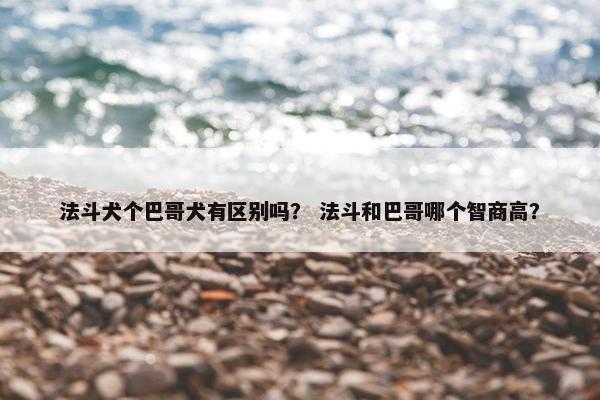 法斗犬个巴哥犬有区别吗？ 法斗和巴哥哪个智商高？