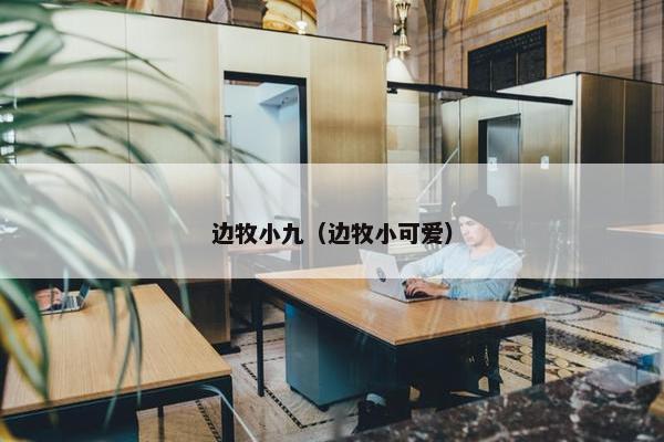 边牧小九（边牧小可爱）