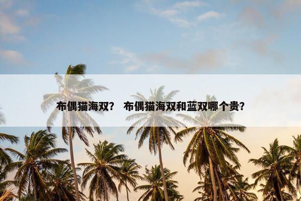 布偶猫海双？ 布偶猫海双和蓝双哪个贵？