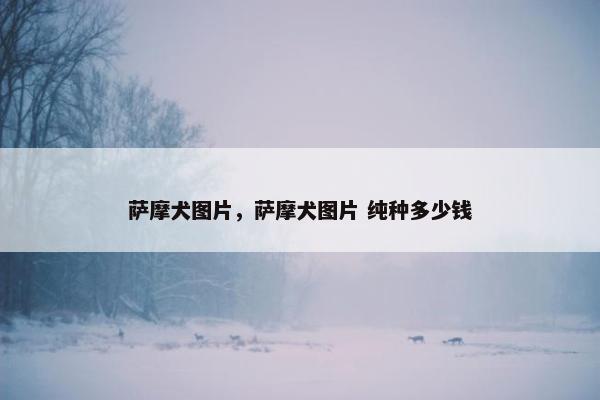 萨摩犬图片，萨摩犬图片 纯种多少钱