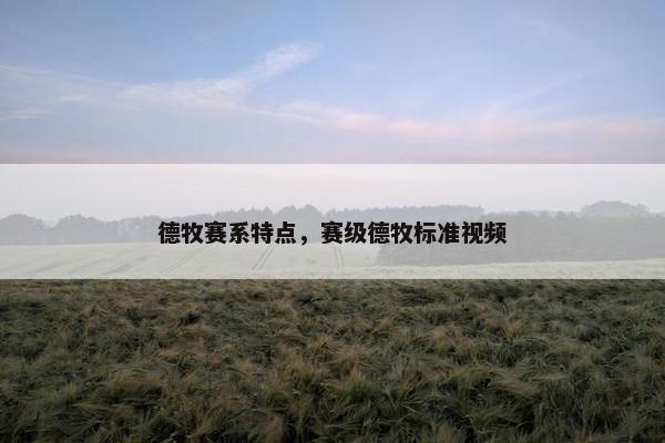 德牧赛系特点，赛级德牧标准视频