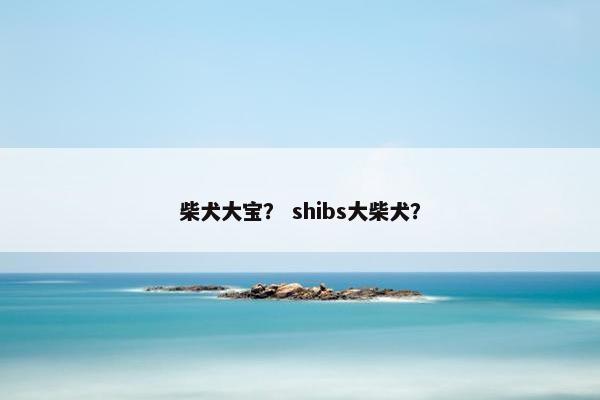 柴犬大宝？ shibs大柴犬？