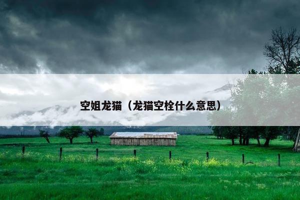 空姐龙猫（龙猫空栓什么意思）