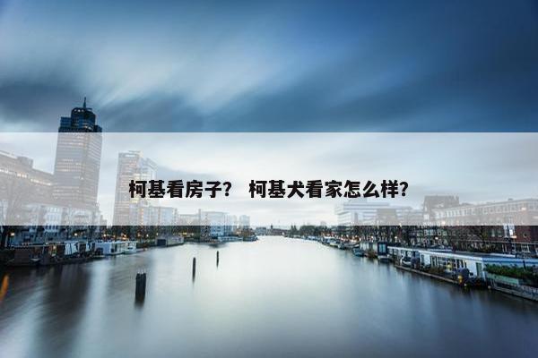 柯基看房子？ 柯基犬看家怎么样？