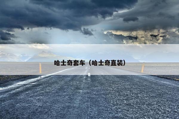 哈士奇套车（哈士奇直装）