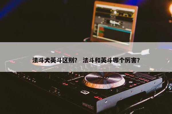 法斗犬英斗区别？ 法斗和英斗哪个厉害？