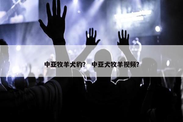 中亚牧羊犬豹？ 中亚犬牧羊视频？