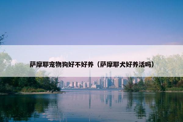 萨摩耶宠物狗好不好养（萨摩耶犬好养活吗）