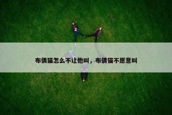 布偶猫怎么不让他叫,布偶猫不愿意叫