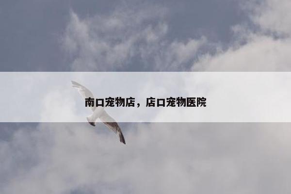 南口宠物店，店口宠物医院